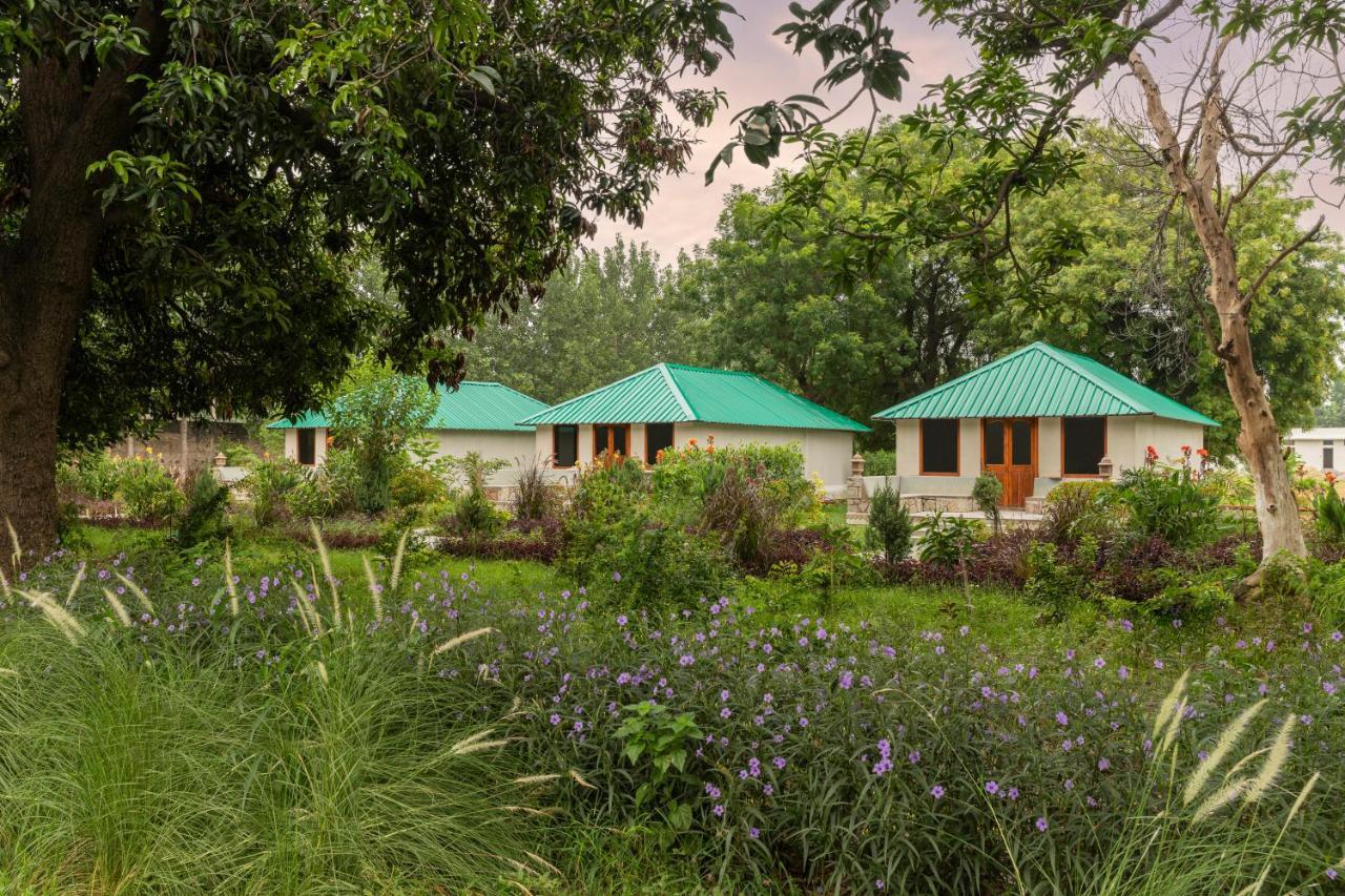 Zana Luxury Forest Resort, Ranthambore Савай-Мадхопур Экстерьер фото