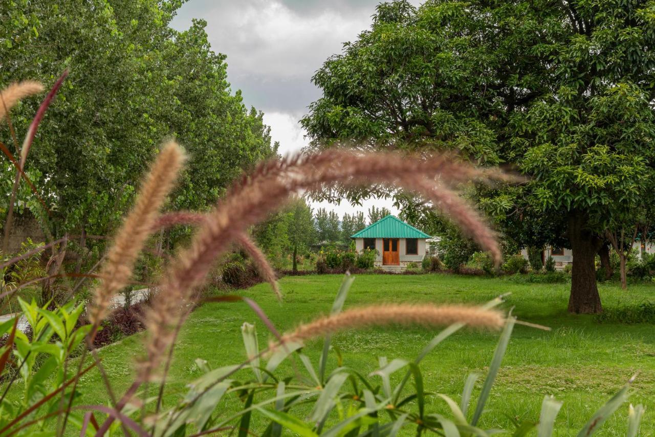 Zana Luxury Forest Resort, Ranthambore Савай-Мадхопур Экстерьер фото