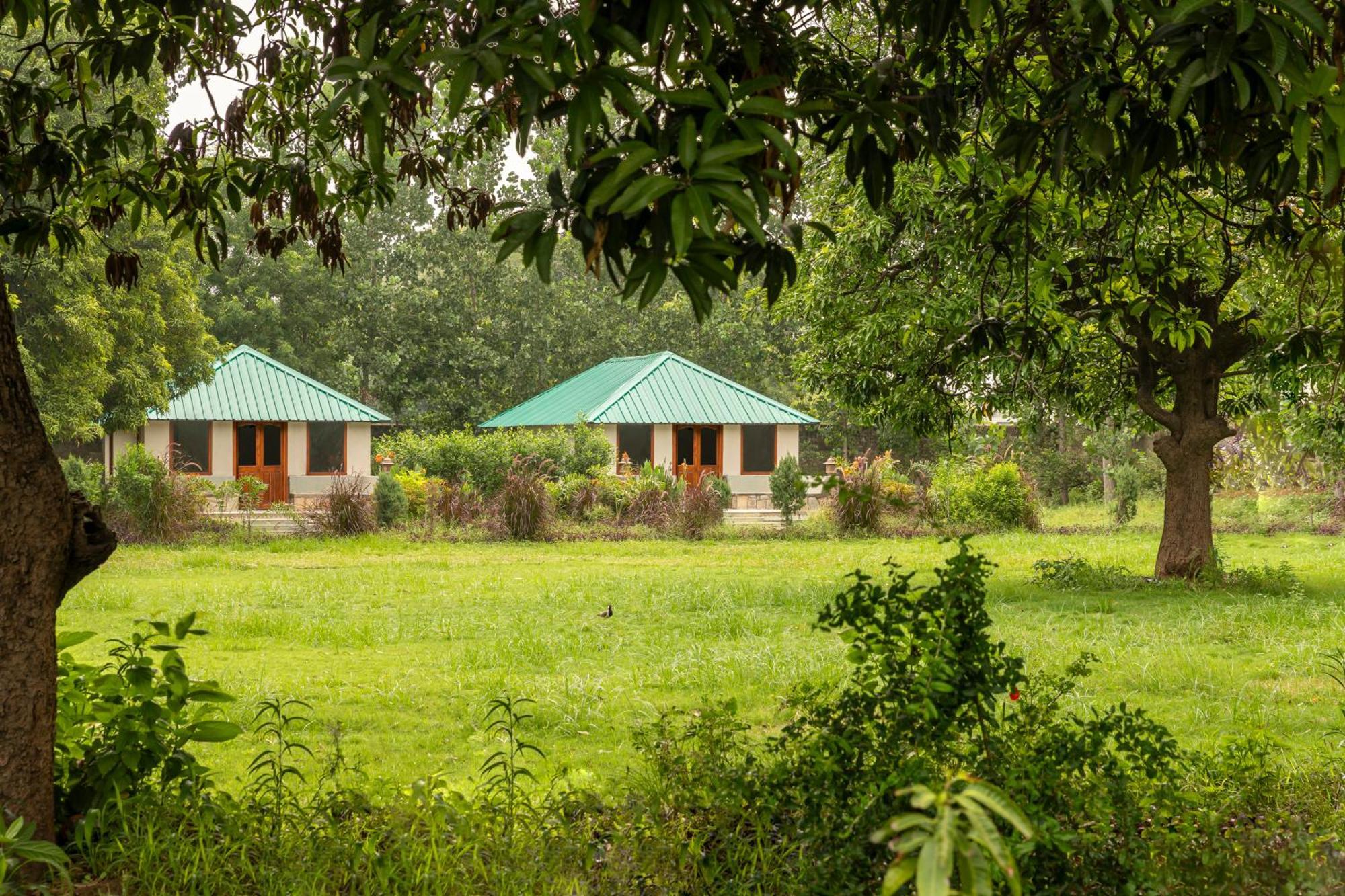 Zana Luxury Forest Resort, Ranthambore Савай-Мадхопур Экстерьер фото